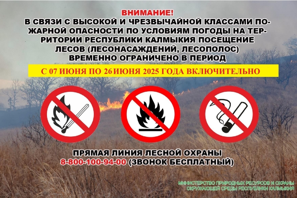 Временное ограничение посещения лесов.