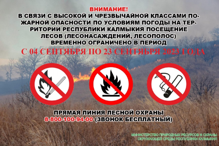 С 04 по 23 сентября включительно введено ограничение пребывания граждан в лесах и въезда в них транспортных средств. С 04 по 23 сентября включительно введено ограничение пребывания граждан в лесах и въезда в них транспортных средств.